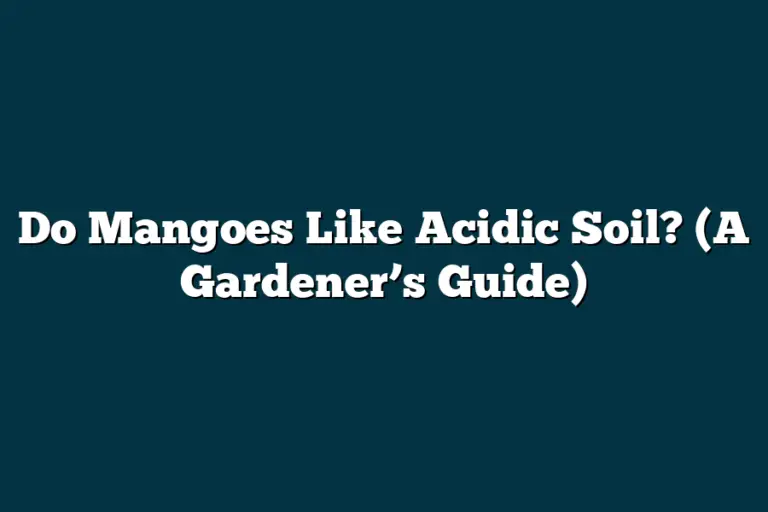 Do Mangoes Like Acidic Soil? (A Gardener’s Guide)