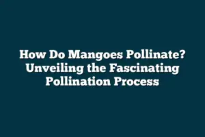 How Do Mangoes Pollinate? Unveiling the Fascinating Pollination Process ...
