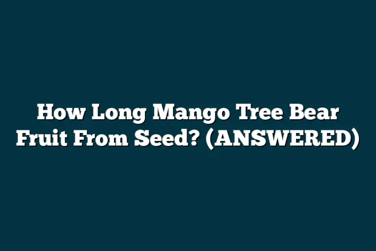 How Long Mango Tree Bear Fruit From Seed? (ANSWERED) – fruitspursuits.com