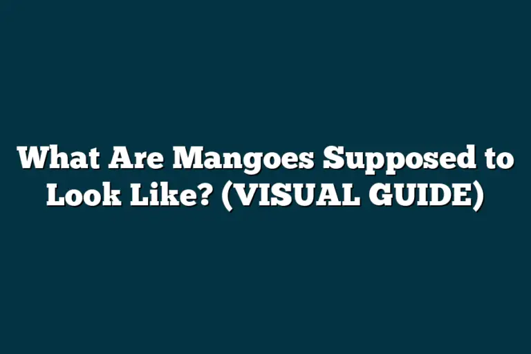 What Are Mangoes Supposed to Look Like? (VISUAL GUIDE)