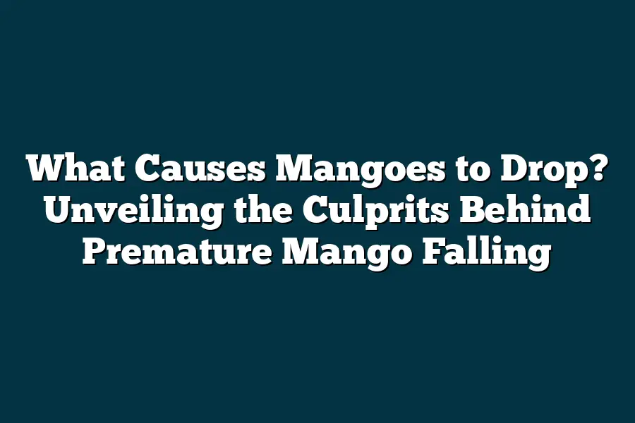 What Causes Mangoes to Drop? Unveiling the Culprits Behind Premature ...