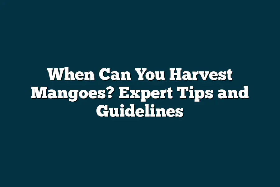 When Can You Harvest Mangoes? Expert Tips and Guidelines ...