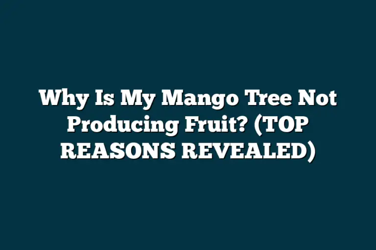 Why Is My Mango Tree Not Producing Fruit? (TOP REASONS REVEALED