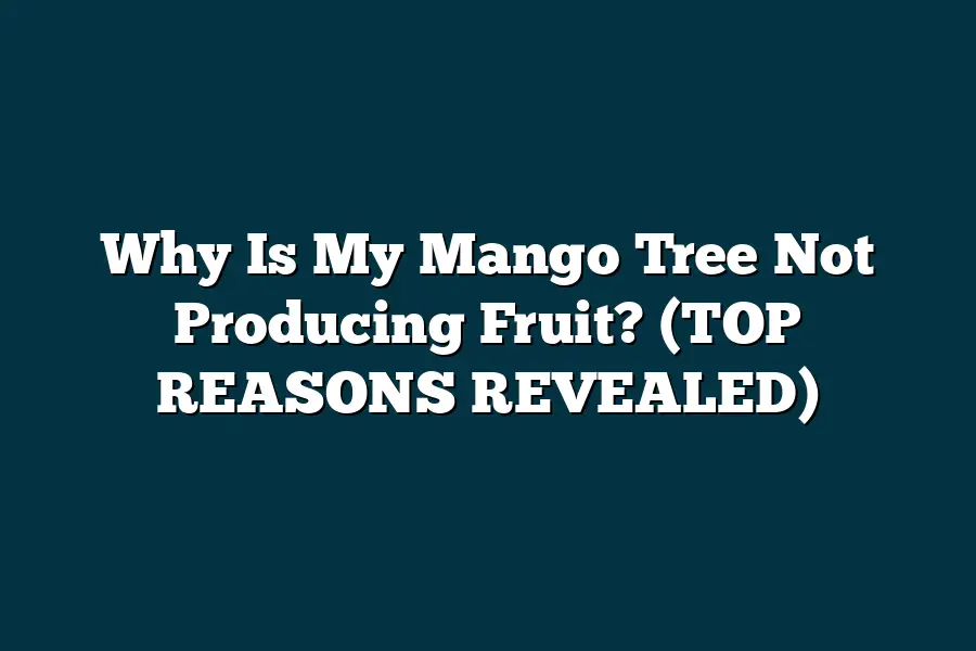 Why Is My Mango Tree Not Producing Fruit? (TOP REASONS REVEALED ...