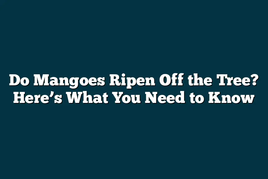 Do Mangoes Ripen Off the Tree? Here’s What You Need to Know ...