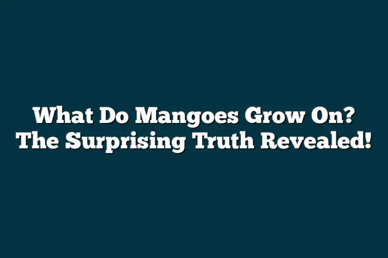 What Do Mangoes Grow On? The Surprising Truth Revealed 